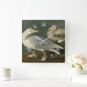 Burgomaster Gull - Audubon's Birds of Americaより スクエア壁時計 (ホーム)