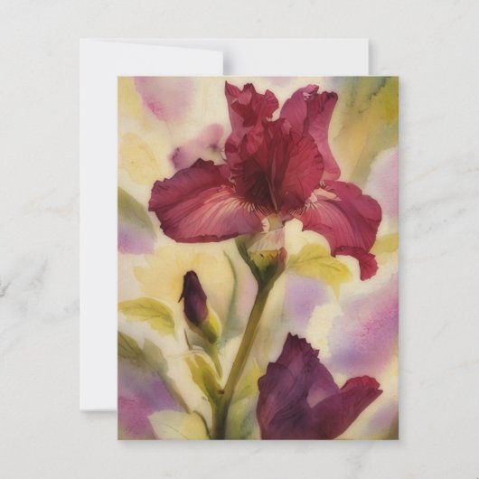 Burgundy Pink Iris Flower Art Note Card Set ノートカード (正面)