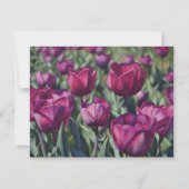 Burgundy Purple Tulip Flower Art Note Card Set ノートカード (正面)