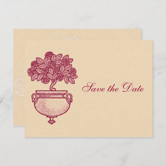 Burgundy Rosebush on Cream日付ポストカードを保存 案内ポストカード (正面/裏面)