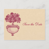 Burgundy Rosebush on Cream日付ポストカードを保存 案内ポストカード (正面)