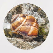 Burgundy snail  ラベル (デザイン1)