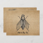 BurlapヴィンテージがBug You Flyを嫌う ポストカード (正面/裏面)