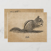 Burlapヴィンテージハローチップムンク葉書 ポストカード (正面/裏面)