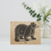 Burlapヴィンテージハローベアポストカード ポストカード (スタンド正面)