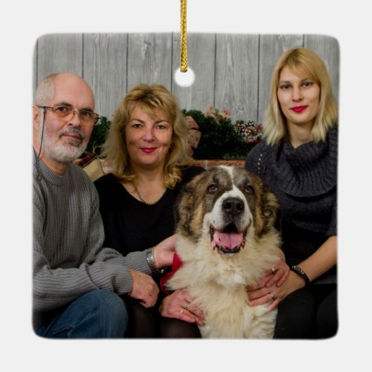 Burlap白素朴鹿の〔雄ジカの〕枝角写真 セラミックオーナメント (裏面)