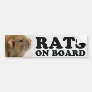 (Burmese) Rats on board バンパーステッカー