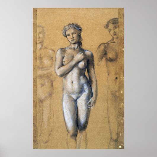 Burne-Jones – 女性3勉強 ポスター (正面)