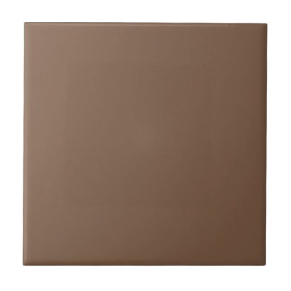 Burnishing Brandy Brown Square Kitchen and Bath タイル