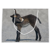 Burroのギフトバッグ ラージペーパーバッグ (正面)