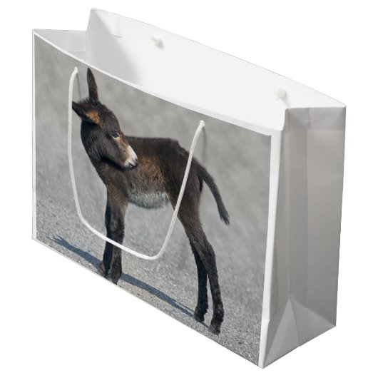 Burroのギフトバッグ ラージペーパーバッグ (正面アングル)