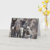 Burroの挨拶状 カード (黄色い花)