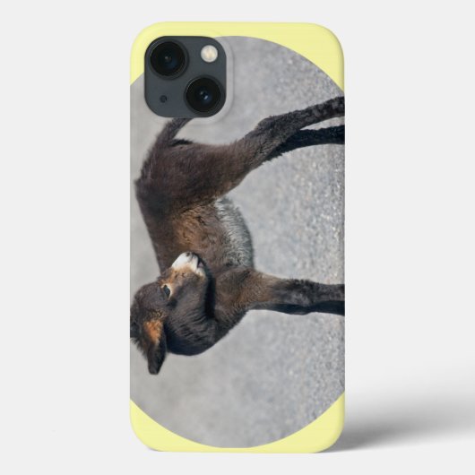 Burro iPadケース Case-Mate iPhoneケース (裏面)