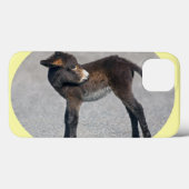 Burro iPadケース Case-Mate iPhoneケース (裏面 (横))