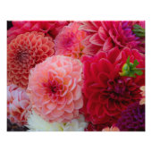 Burst of Summer開花 フォトプリント (正面)