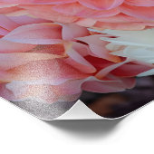 Burst of Summer開花 フォトプリント (角)