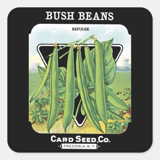 Bush Beansシードパケットラベル スクエアシール (正面)
