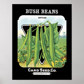 Bush Beansシードパケットラベル ポスター