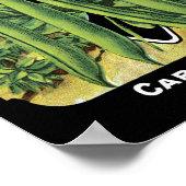 Bush Beans Card Seed Co.パケットヴィンテージFredonia ポスター (角)