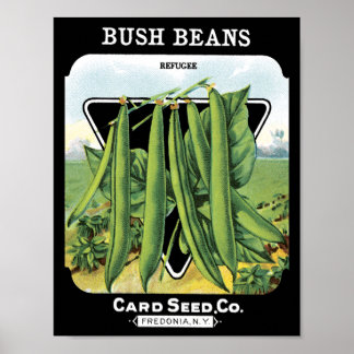 Bush Beans Card Seed Co.パケットヴィンテージFredonia ポスター