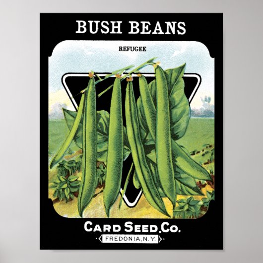 Bush Beans Card Seed Co.パケットヴィンテージFredonia ポスター (正面)
