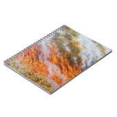 Bushfireのインフェルノ2014年 ノートブック (左側)