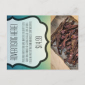 Business 広告's CardビーチString Lights Pal ポストカード (裏面)