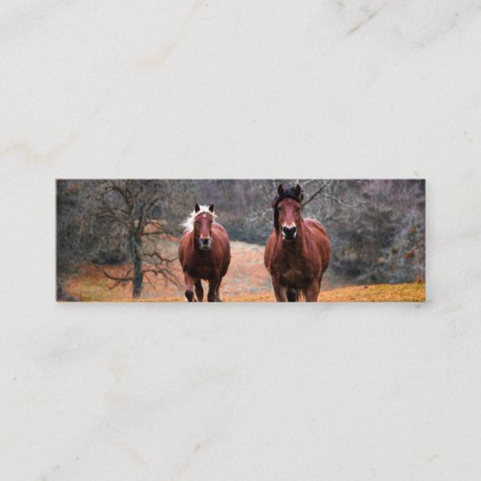  Business Cards スキニー名刺 (正面)