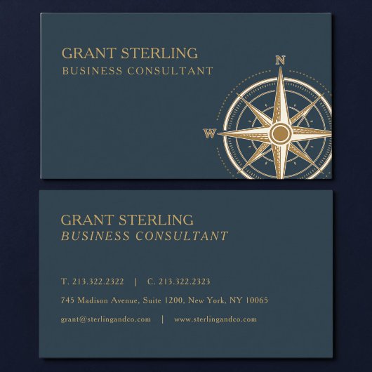 Business Consultant Nautical Compass Professional 名刺