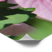 Busy Be Collection Pollen in a Hibiscus ポスター (角)