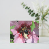 Busy Be Collection Pollen in a Hibiscus  ポストカード (スタンド正面)