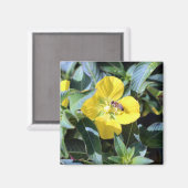 Busy Bee マグネット (正面/裏面)