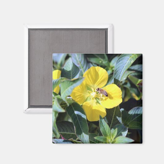 Busy Bee マグネット (正面/裏面)