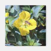 Busy Bee マグネット (正面)