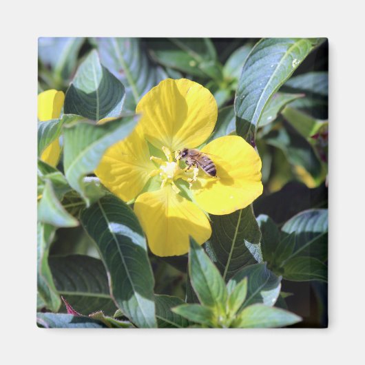 Busy Bee マグネット (正面)