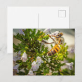 Busy Bee working hard ポストカード (正面/裏面)