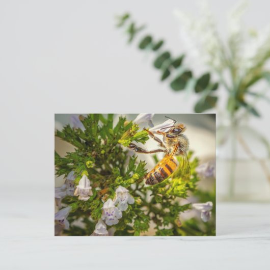 Busy Bee working hard ポストカード (スタンド正面)