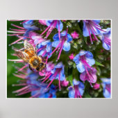 Busy Busy ポスター (正面)