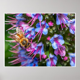 Busy Busy Bee ポスター