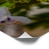 Busy Honeybee Pollinating Flowers – Nature Photo ポスター (コーナー)