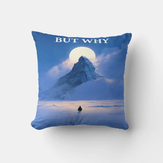 But Why Throw Pillow Minimal Quote Aesthetic クッション (正面)