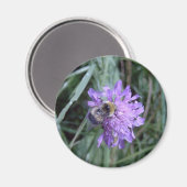 butineuse マグネット (正面/裏面)