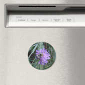 butineuse マグネット (インサイチュ (食洗機))