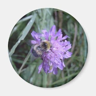 butineuse マグネット