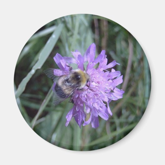 butineuse マグネット (正面)