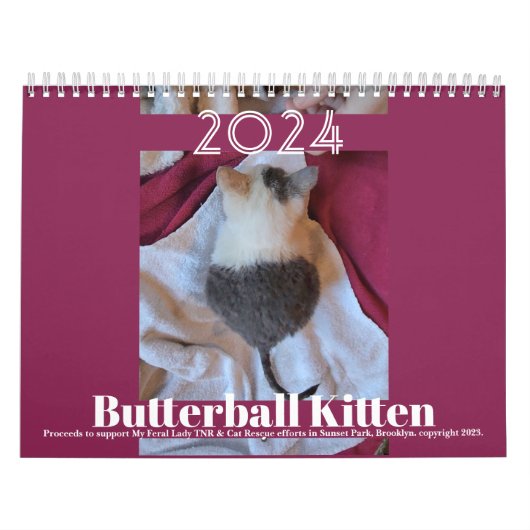 Butterball Kitten: 2024年カレンダー カレンダー (カバー)