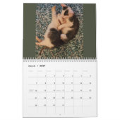 Butterball Kitten: 2024年カレンダー カレンダー (3月 2027)