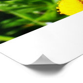 Buttercheetaポスター ポスター (角)