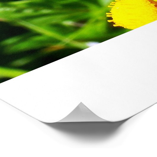 Buttercheetaポスター ポスター (角)