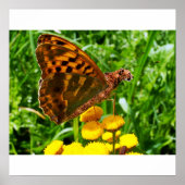 Buttercheetaポスター ポスター (正面)